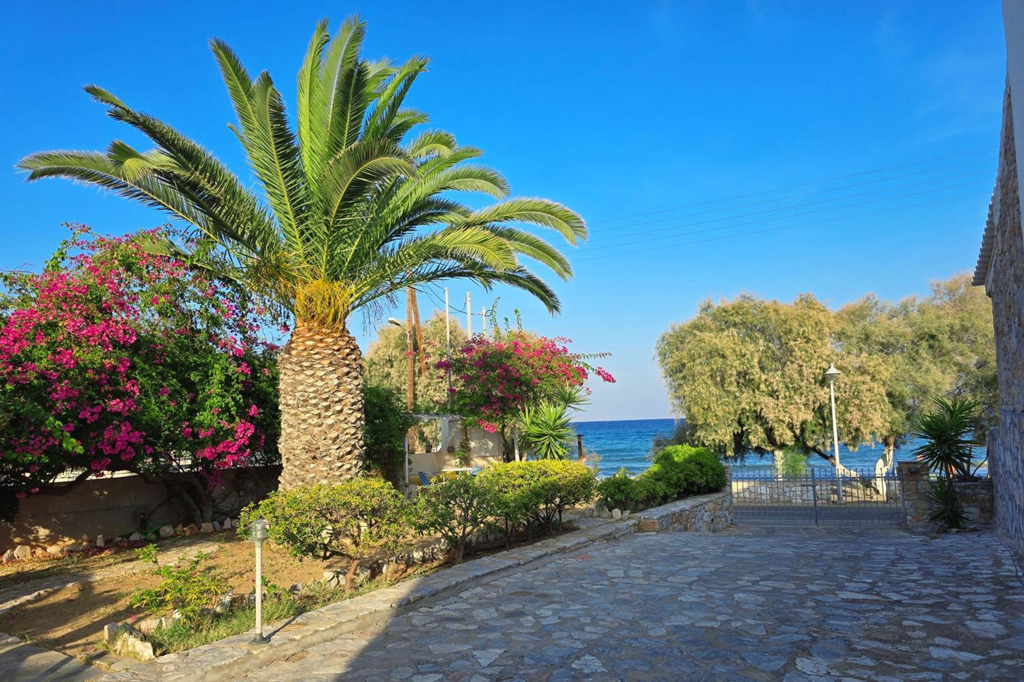 אזולימנוס Villa Dolphin מראה חיצוני תמונה